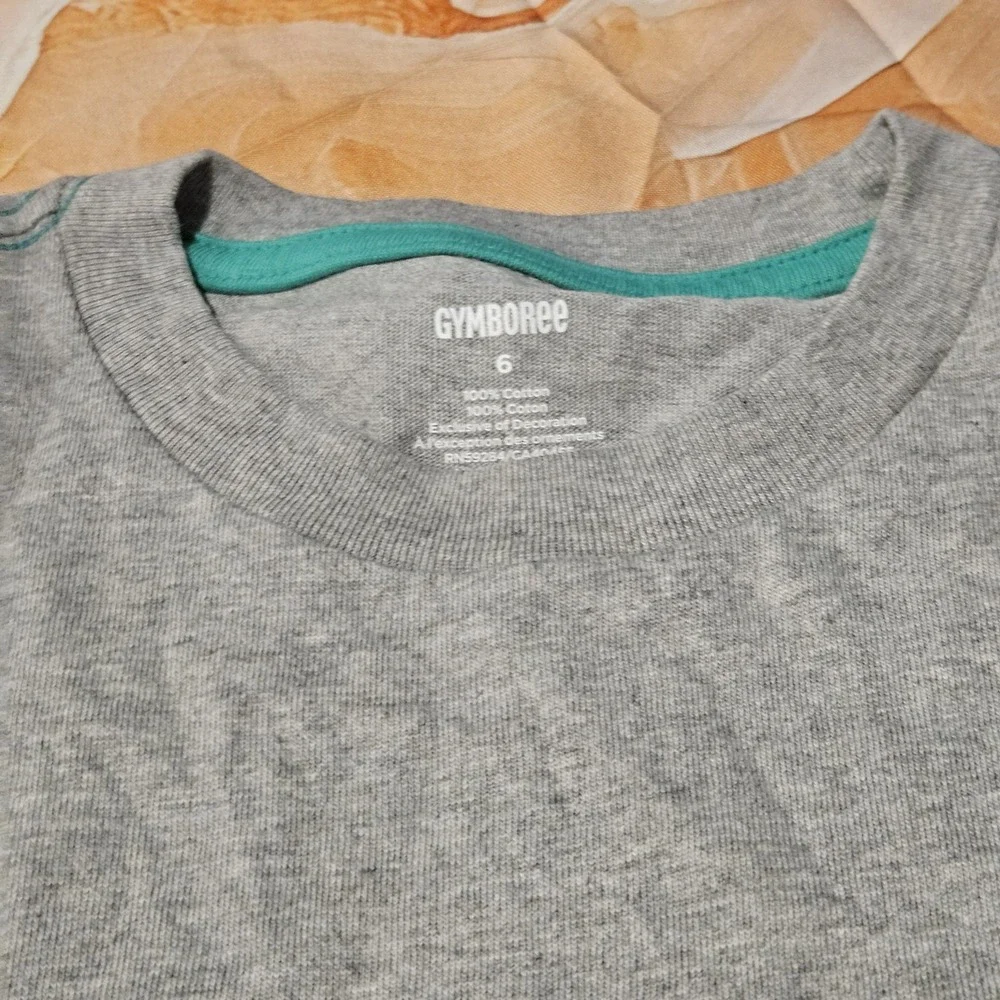 Gymboree Boys Size 6 Dinosaur T-Rex Graphic T-Shirt NWT